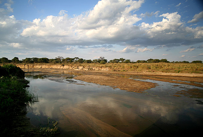 tarangire river