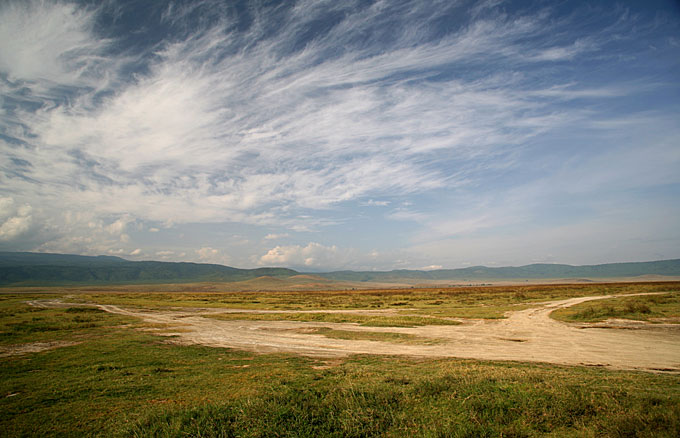 ngorongoro