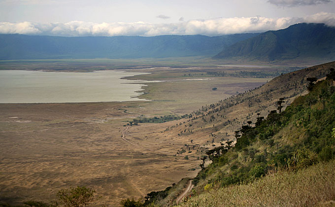 ngorongoro