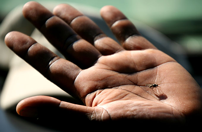 ���� ����