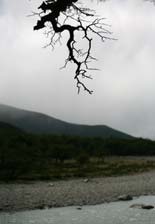 River at Bahia Onelli