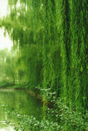 ��� � �����