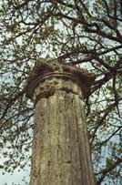 ������� � �������