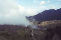 ������ � �������