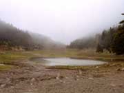 ����� �� �������