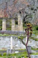 ����������� ���� ��������