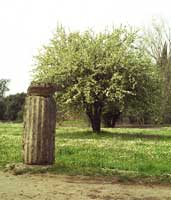 ����� � �������