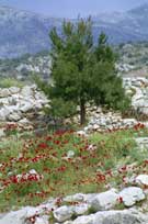 ������ � ������ �����