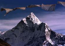 ��������� �����