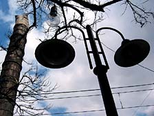 ������� �����������