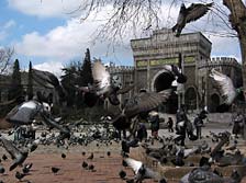 ������ �� ������ ����� �������������