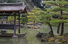 ���� ����������