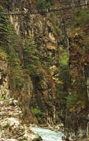 ���� � 120 ������