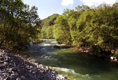 ���� ������