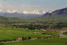 ������ ���� ����-���, ������� ������