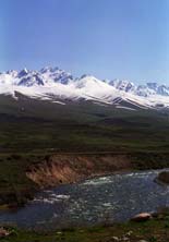 ���� ��������