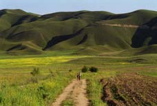 ���� ���������