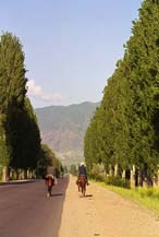 ������� ����� �������