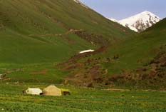 ���� �� ���������� ����