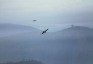 ���� �� �������� � �����