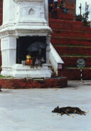 ������� ������ � ������ �� ������� ������