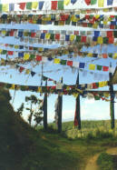 ��������� �����