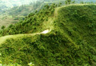 ������ �����