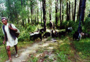 ������ � ������