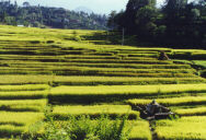 ���� � ������� ����