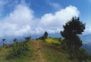 ������ �� �������