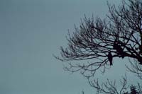 ���� �� ������