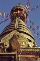 �������� �� ����� � ������������