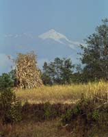 ���� � ����