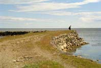 ����� �� ��������