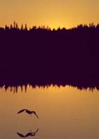 ������� ��� ������� �������� ������