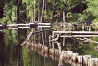 ������ �������� �� �������