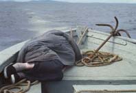 ����� �� ������