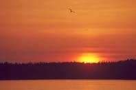 ����� ��� �������� ������������ �������� �������