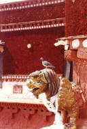 ������� ������ ������