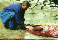 ��������� �����