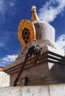 ����� ��������� � ����� ����� ���������