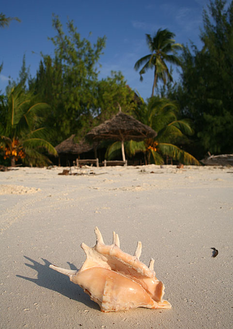 shell zanzibar