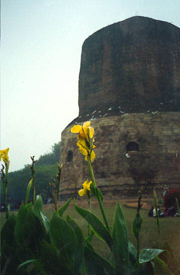 Sarnath