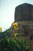 Sarnath